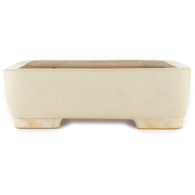 Maceta rectangular para bonsái blanco roto de Reiho - 350 x 265 x 85 mm