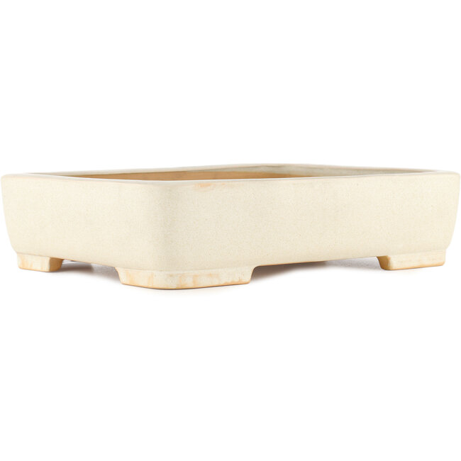 Maceta rectangular para bonsái blanco roto de Reiho - 350 x 265 x 85 mm
