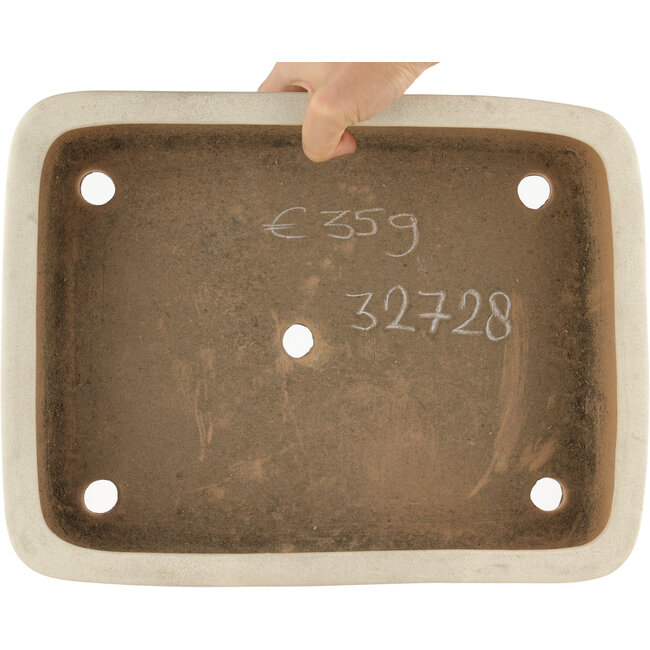 Vaso bonsai rettangolare bianco sporco di Reiho - 350 x 265 x 85 mm