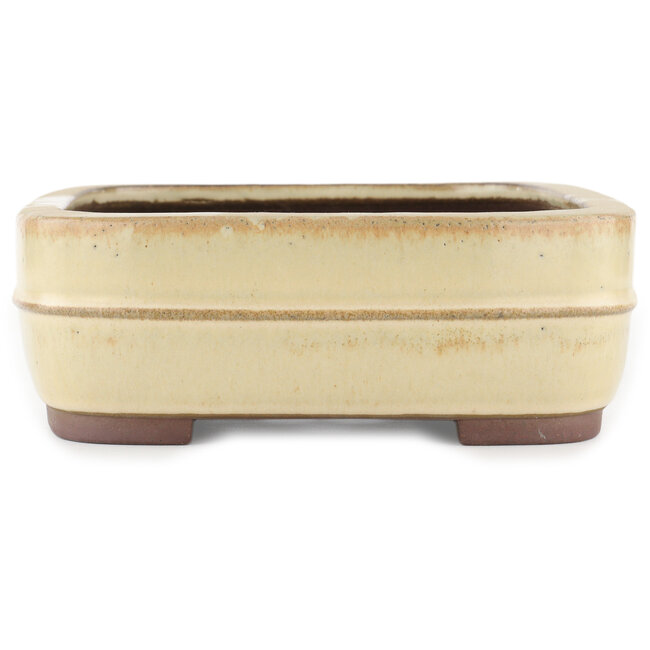 Maceta rectangular para bonsái blanco roto de Yamaaki - 320 x 240 x 85 mm