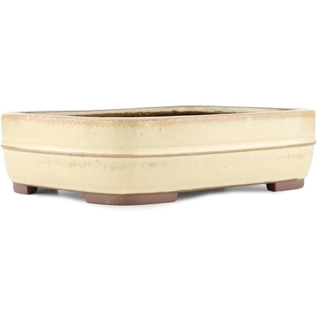 Maceta rectangular para bonsái blanco roto de Yamaaki - 320 x 240 x 85 mm