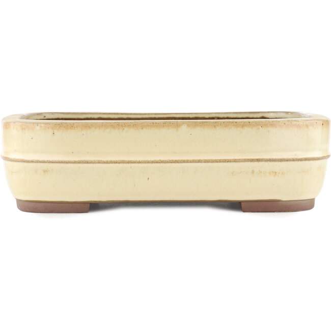 Pot à bonsaï rectangulaire blanc cassé par Yamaaki - 320 x 240 x 85 mm