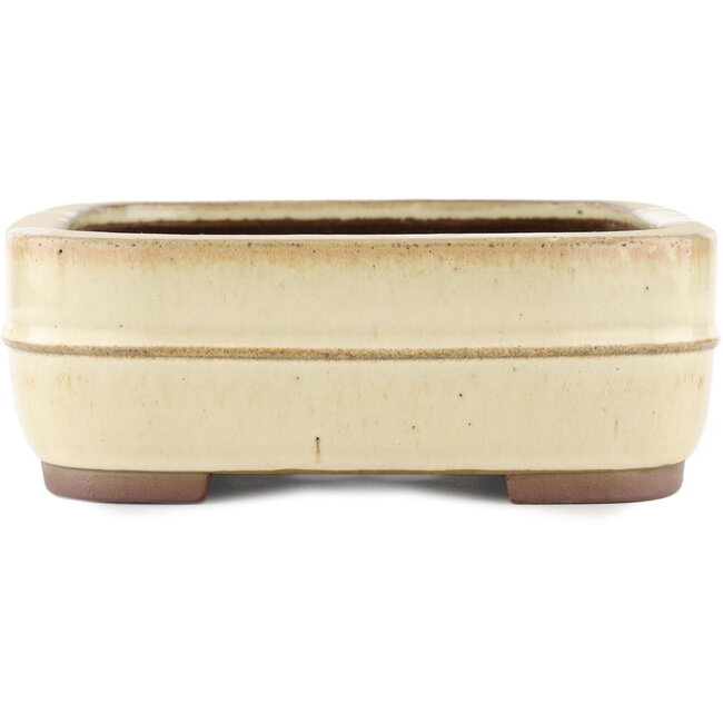 Vaso bonsai rettangolare bianco sporco di Yamaaki - 320 x 240 x 85 mm