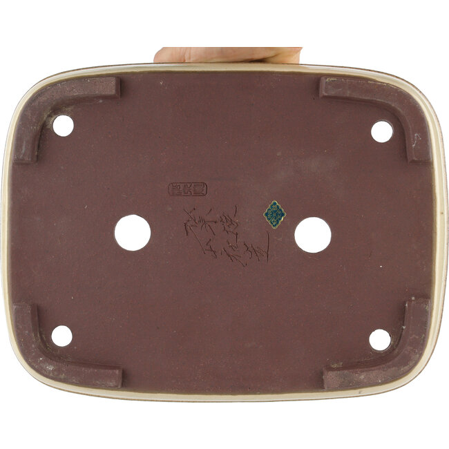 Maceta rectangular para bonsái blanco roto de Yamaaki - 320 x 240 x 85 mm