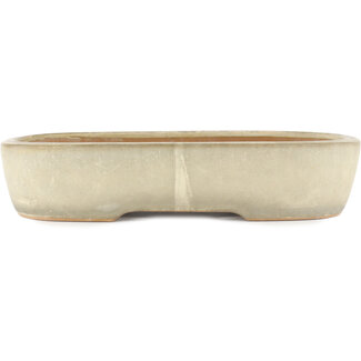 Yamafusa - Takehiko Koie 355 mm  off-white bonsai pot by Yamafusa, Tokoname, Japan