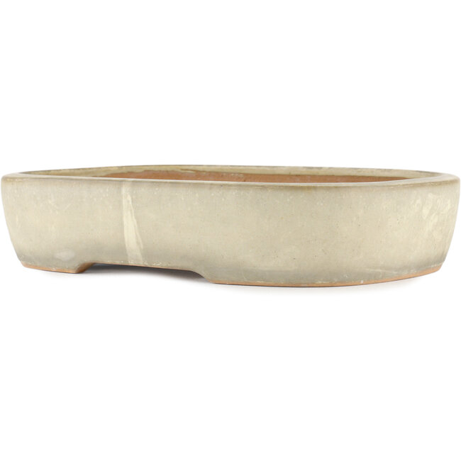 Oval off-white bonsai pot by Yamafusa - 355 x 252 x 74 mm