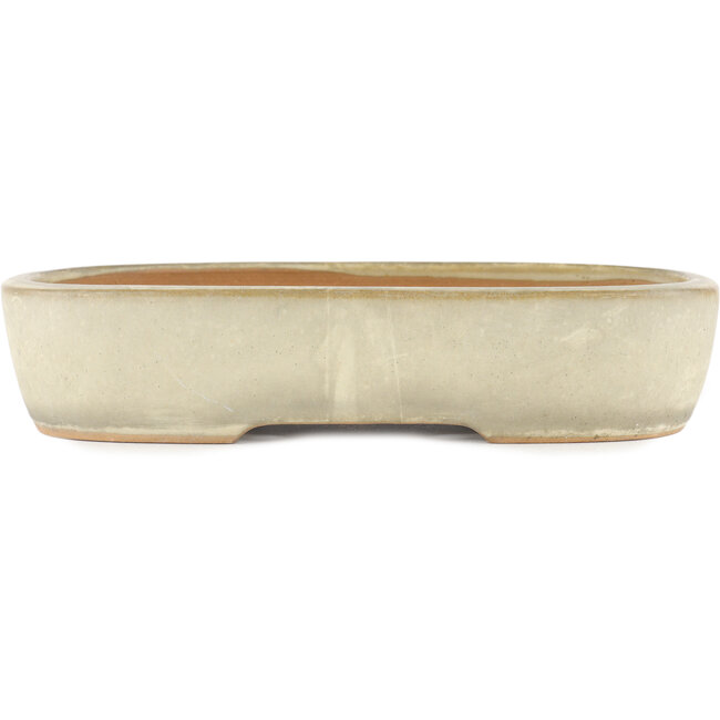 Pot à bonsaï ovale blanc cassé par Yamafusa - 355 x 252 x 74 mm