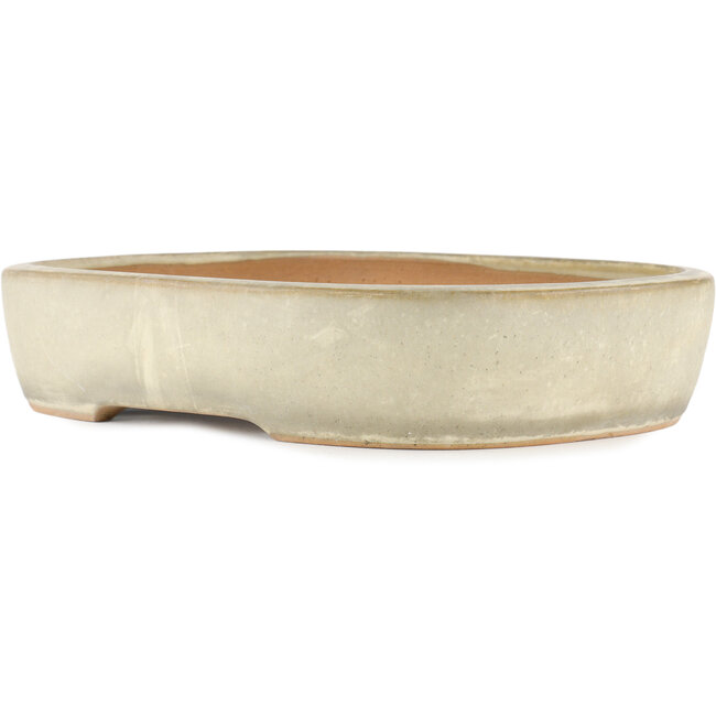 Pot à bonsaï ovale blanc cassé par Yamafusa - 355 x 252 x 74 mm
