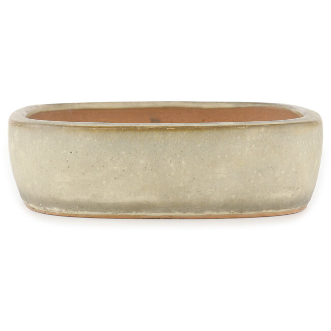 Vaso bonsai ovale bianco sporco di Yamafusa - 355 x 252 x 74 mm