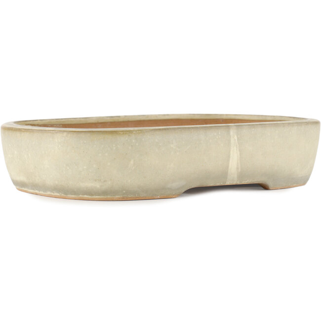 Vaso bonsai ovale bianco sporco di Yamafusa - 355 x 252 x 74 mm