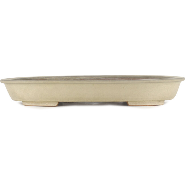 Pot à bonsaï ovale blanc cassé - 355 x 271 x 49 mm