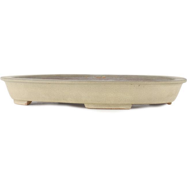Pot à bonsaï ovale blanc cassé - 355 x 271 x 49 mm