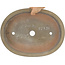 Pot à bonsaï ovale blanc cassé - 355 x 271 x 49 mm