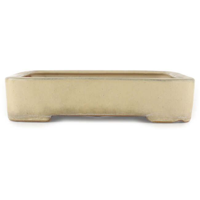 Pot à bonsaï rectangulaire blanc cassé par Reiho - 400 x 263 x 60 mm