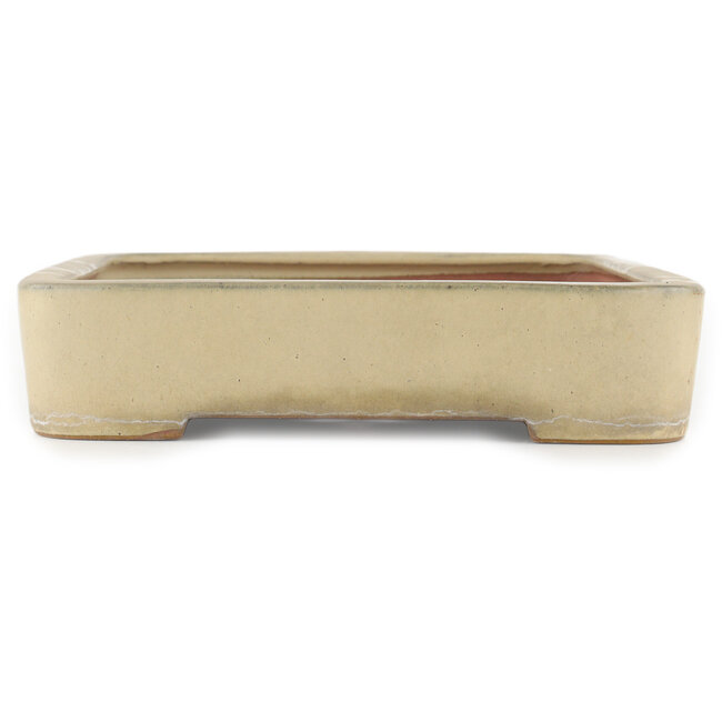 Rectangular off-white bonsai pot by Reiho - 400 x 263 x 60 mm