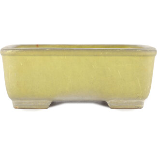 Yamafusa - Takehiko Koie 247 mm  yellow bonsai pot by Yamafusa, Tokoname, Japan