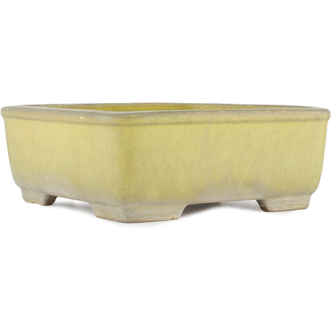 Square yellow bonsai pot by Yamafusa - 247 x 247 x 90 mm