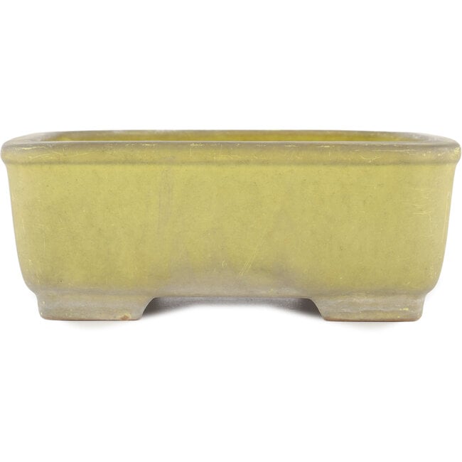 Square yellow bonsai pot by Yamafusa - 247 x 247 x 90 mm