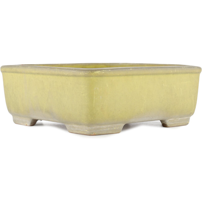 Square yellow bonsai pot by Yamafusa - 247 x 247 x 90 mm