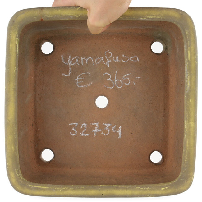 Quadratischer gelber Bonsai-Topf von Yamafusa - 247 x 247 x 90 mm