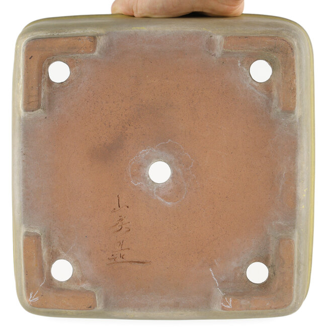 Pot à bonsaï carré jaune par Yamafusa - 247 x 247 x 90 mm