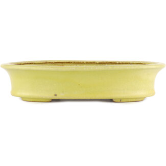  Hattori Tomoyuki 262 mm  yellow bonsai pot by Hattori, Tokoname, Japan