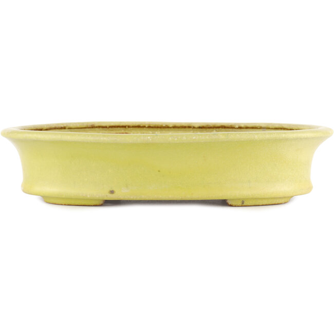 Oval yellow bonsai pot by Hattori - 262 x 195 x 57 mm