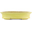 Pot à bonsaï ovale jaune par Hattori - 262 x 195 x 57 mm