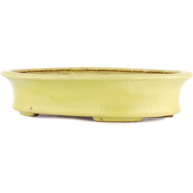 Oval yellow bonsai pot by Hattori - 262 x 195 x 57 mm