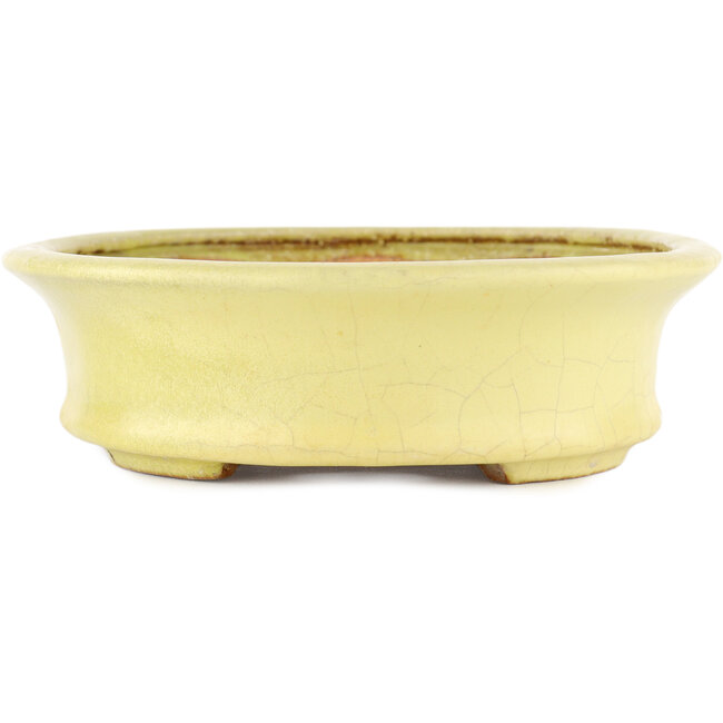Vaso bonsai ovale giallo di Hattori - 262 x 195 x 57 mm