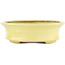 Oval yellow bonsai pot by Hattori - 262 x 195 x 57 mm