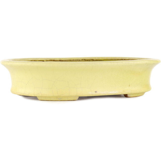 Vaso bonsai ovale giallo di Hattori - 262 x 195 x 57 mm