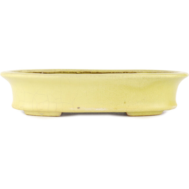 Oval yellow bonsai pot by Hattori - 262 x 195 x 57 mm