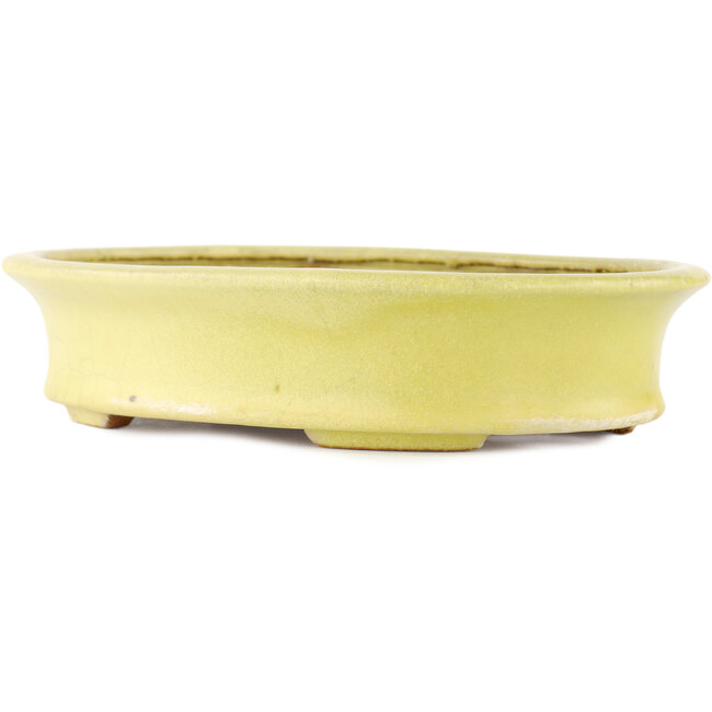 Vaso bonsai ovale giallo di Hattori - 262 x 195 x 57 mm