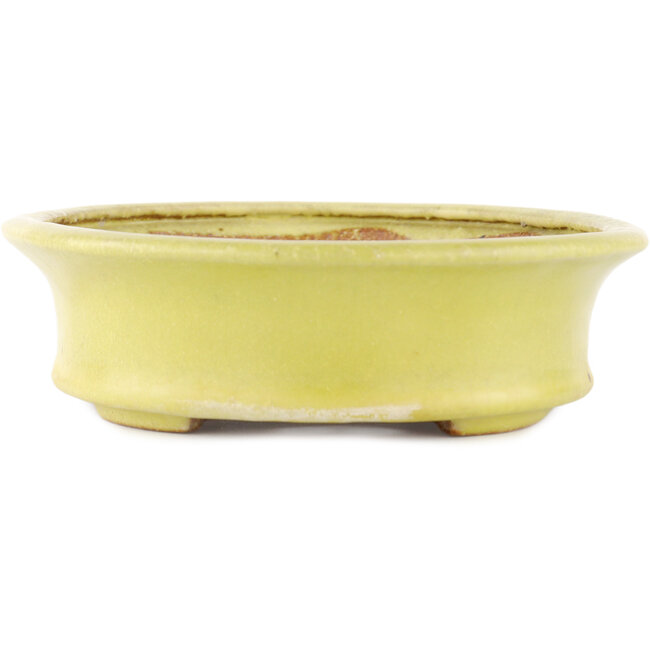 Vaso bonsai ovale giallo di Hattori - 262 x 195 x 57 mm