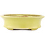 Oval yellow bonsai pot by Hattori - 262 x 195 x 57 mm