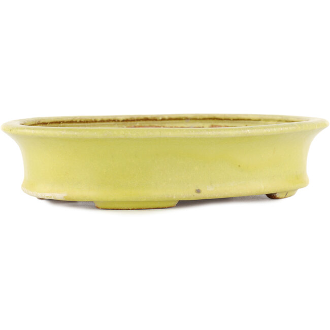 Pot à bonsaï ovale jaune par Hattori - 262 x 195 x 57 mm