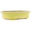 Pot à bonsaï ovale jaune par Hattori - 262 x 195 x 57 mm