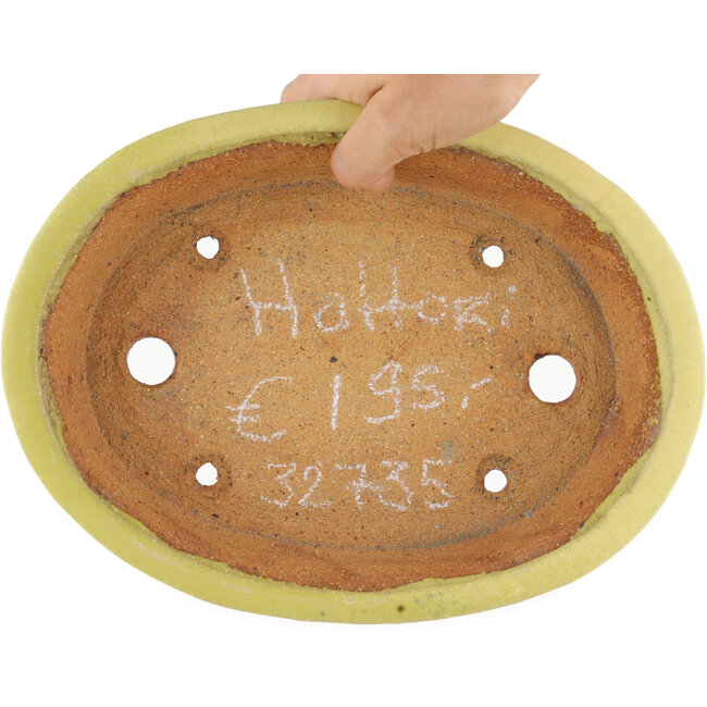 Oval yellow bonsai pot by Hattori - 262 x 195 x 57 mm