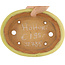 Oval yellow bonsai pot by Hattori - 262 x 195 x 57 mm