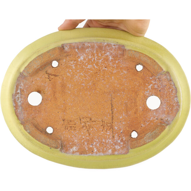Pot à bonsaï ovale jaune par Hattori - 262 x 195 x 57 mm