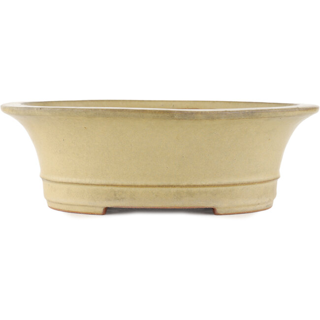 Pot à bonsaï ovale blanc cassé par Reiho - 320 x 270 x 104 mm