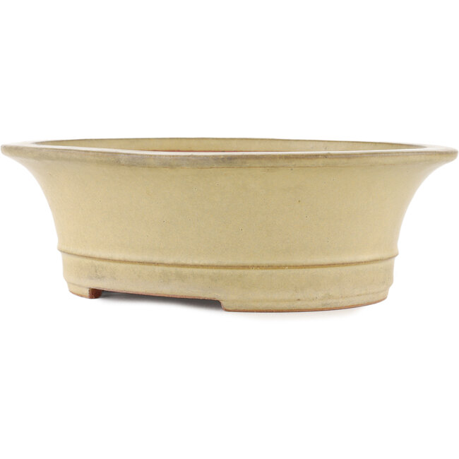 Pot à bonsaï ovale blanc cassé par Reiho - 320 x 270 x 104 mm