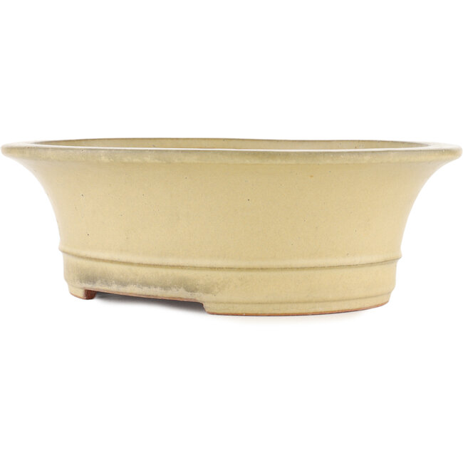Pot à bonsaï ovale blanc cassé par Reiho - 320 x 270 x 104 mm