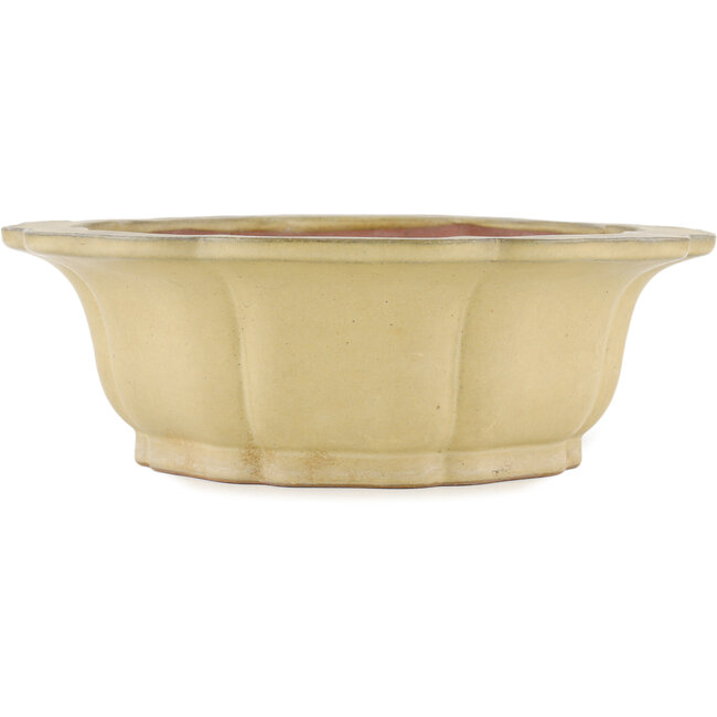 Maceta para bonsai en forma de loto color hueso de Reiho - 310 x 310 x 102 mm