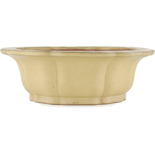 Maceta para bonsai en forma de loto color hueso de Reiho - 310 x 310 x 102 mm