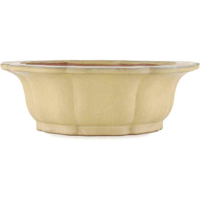 Maceta para bonsai en forma de loto color hueso de Reiho - 310 x 310 x 102 mm