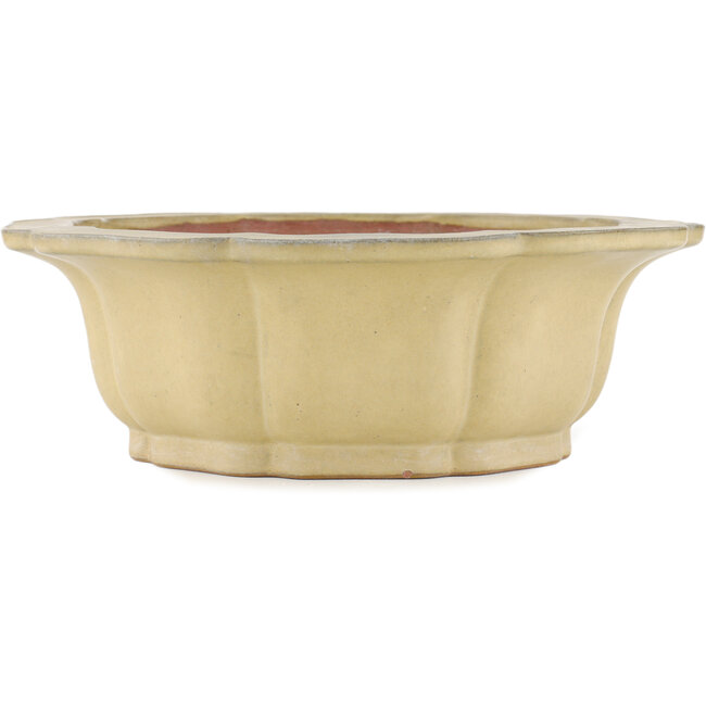 Vaso bonsai bianco sporco a forma di loto di Reiho - 310 x 310 x 102 mm