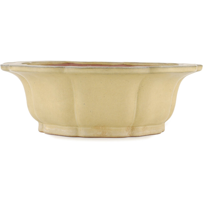 Maceta para bonsai en forma de loto color hueso de Reiho - 310 x 310 x 102 mm