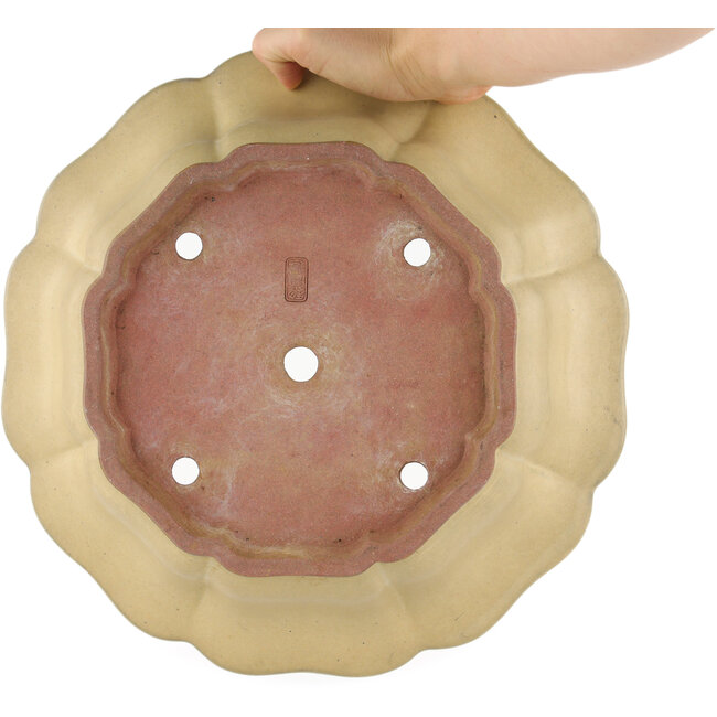 Lotus-shaped off-white bonsai pot by Reiho - 310 x 310 x 102 mm